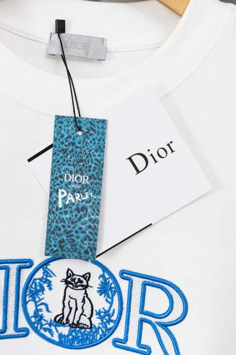 Dior T Shirts Short _SKUDiorM-2XLjhtxY04916380